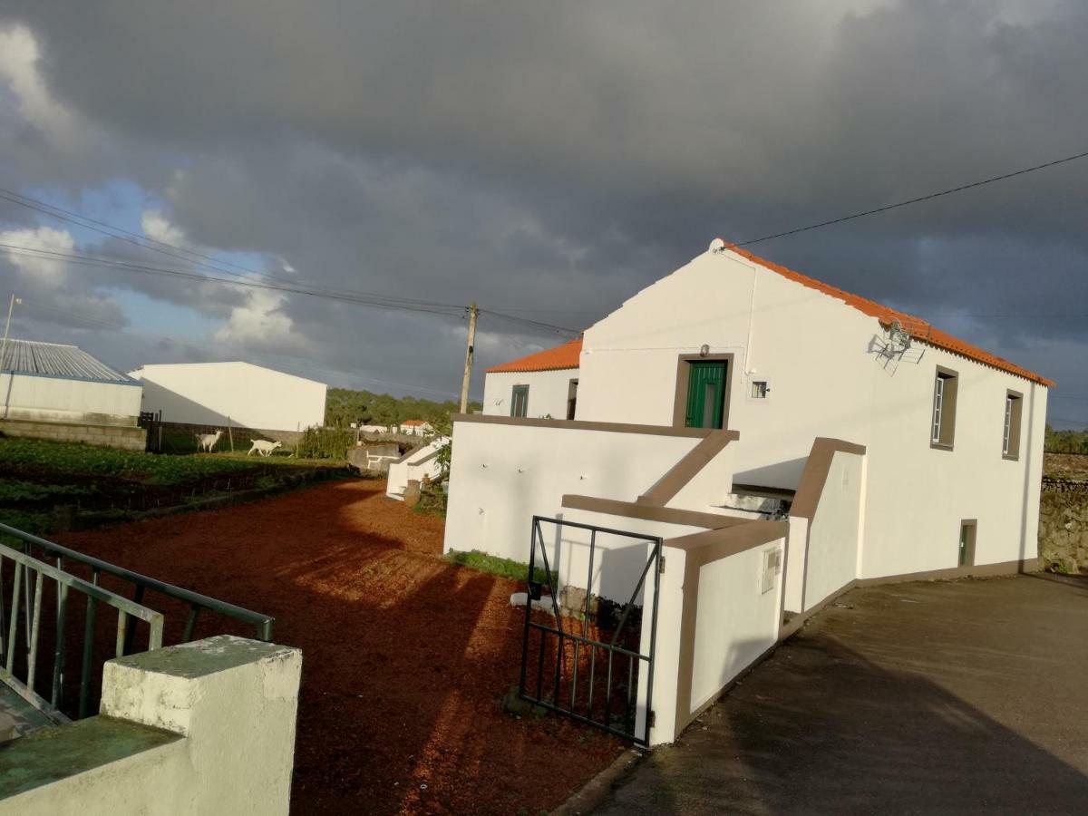 فيلا Casa Dos Biscoitos مادالينا المظهر الخارجي الصورة